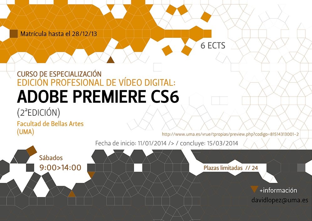 II Curso de Edición Profesional de Vídeo Digital: Adobe Premiere CS6